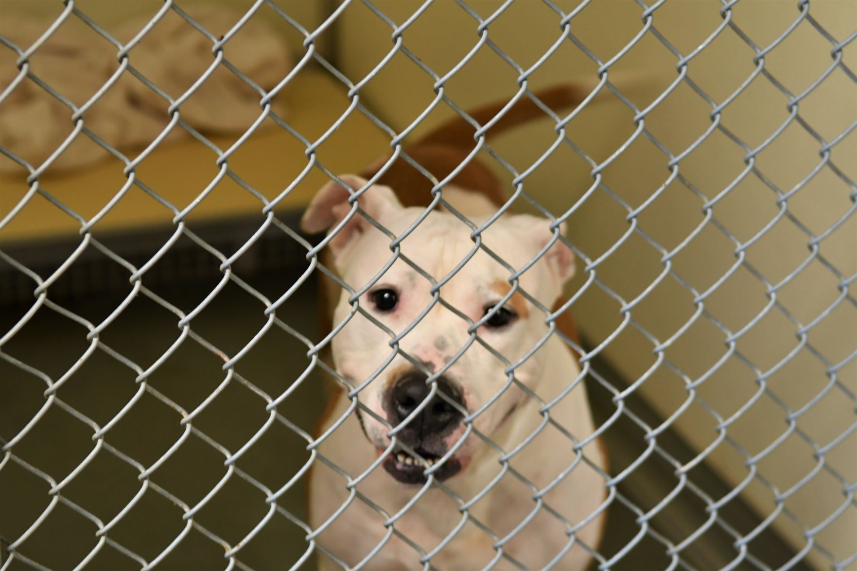 091421-qc-nws-shelter1.jpg